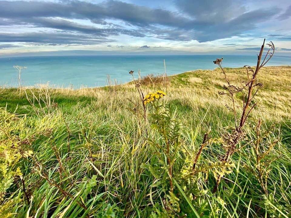 Plage à 50m Appartement Rêves ensoleillés Villa Les Bains de Mers Esterno foto