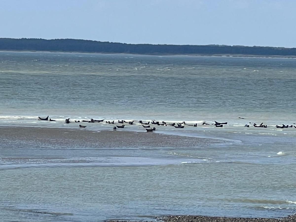 Plage à 50m Appartement Rêves ensoleillés Villa Les Bains de Mers Esterno foto